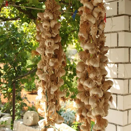 By The Sea Tkon, Pasman - 8458 Tkon