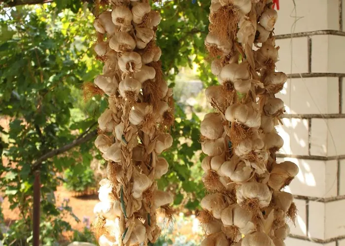 By The Sea Tkon, Pasman - 8458 Tkon